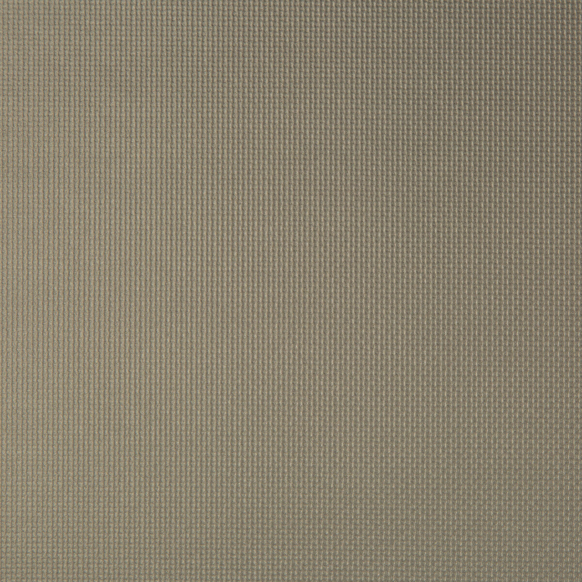 KRAVET CONTRACT SIDNEY.2121.0 SIDNEY PORCINI Fabric - Eade's Wallpaper