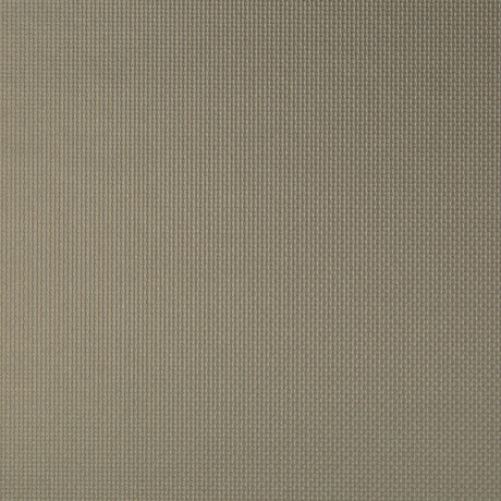KRAVET CONTRACT SIDNEY.2121.0 SIDNEY PORCINI Fabric - Eade's Wallpaper