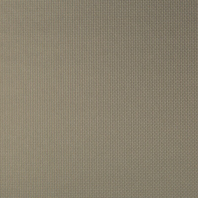 KRAVET CONTRACT SIDNEY.2121.0 SIDNEY PORCINI Fabric - Eade's Wallpaper