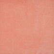 Eade’s # 401 CORAL