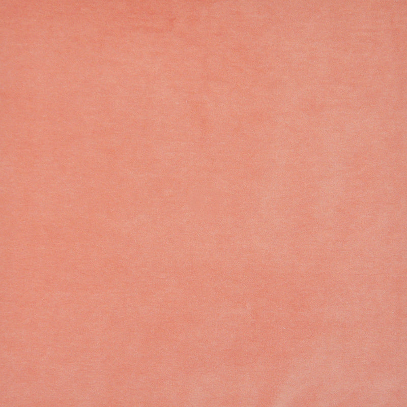 Eade’s # 401 CORAL