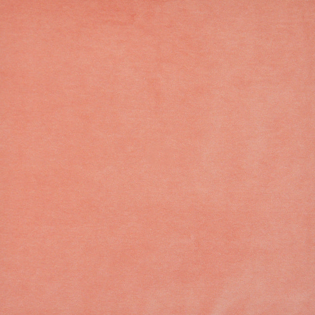 Eade’s # 401 CORAL