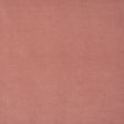 Eade’s # 418 GRAPEFRUIT
