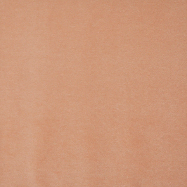 Eade’s # 419 SOFT ORANGE