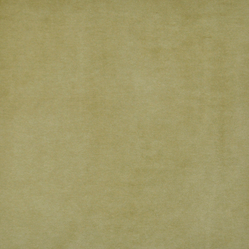 Eade’s # 421 OLIVE
