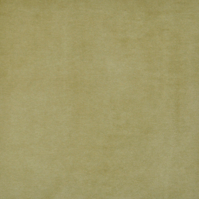 Eade’s # 421 OLIVE