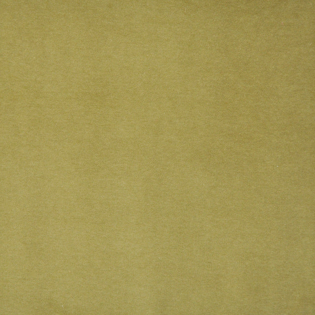 Eade’s # 422 PISTACHIO