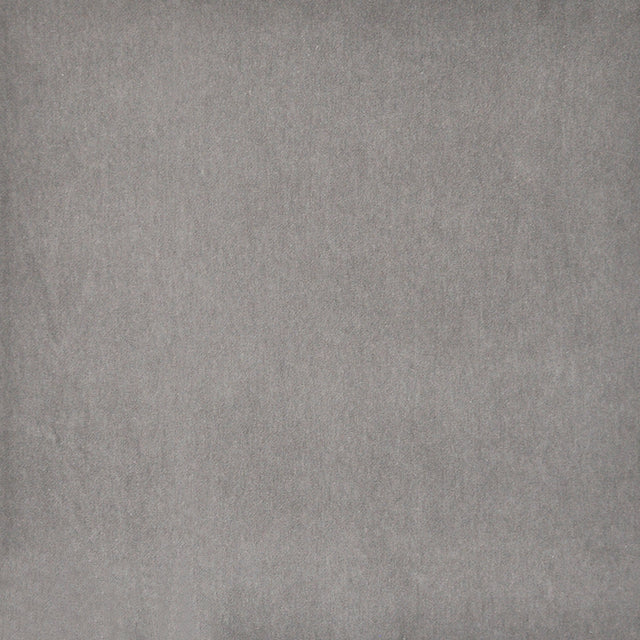 Eade’s # 434 AFRICAN GREY