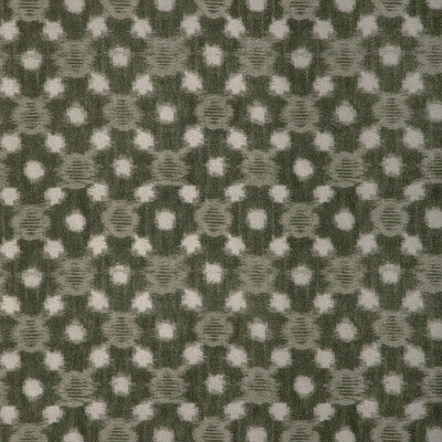 KRAVET COUTURE SIRIDAO.30.0 SIRIDAO MOSS Fabric - ATELIER PRINTS & WEAVES