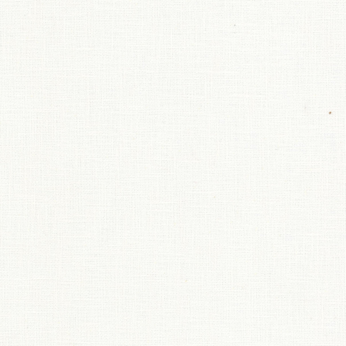 STOUT SIZZ-3 SIZZLE 3 CHALK Fabric - Eades Wallpaper & Fabric