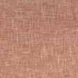 Eade's SIZZ-4-sample GINGER