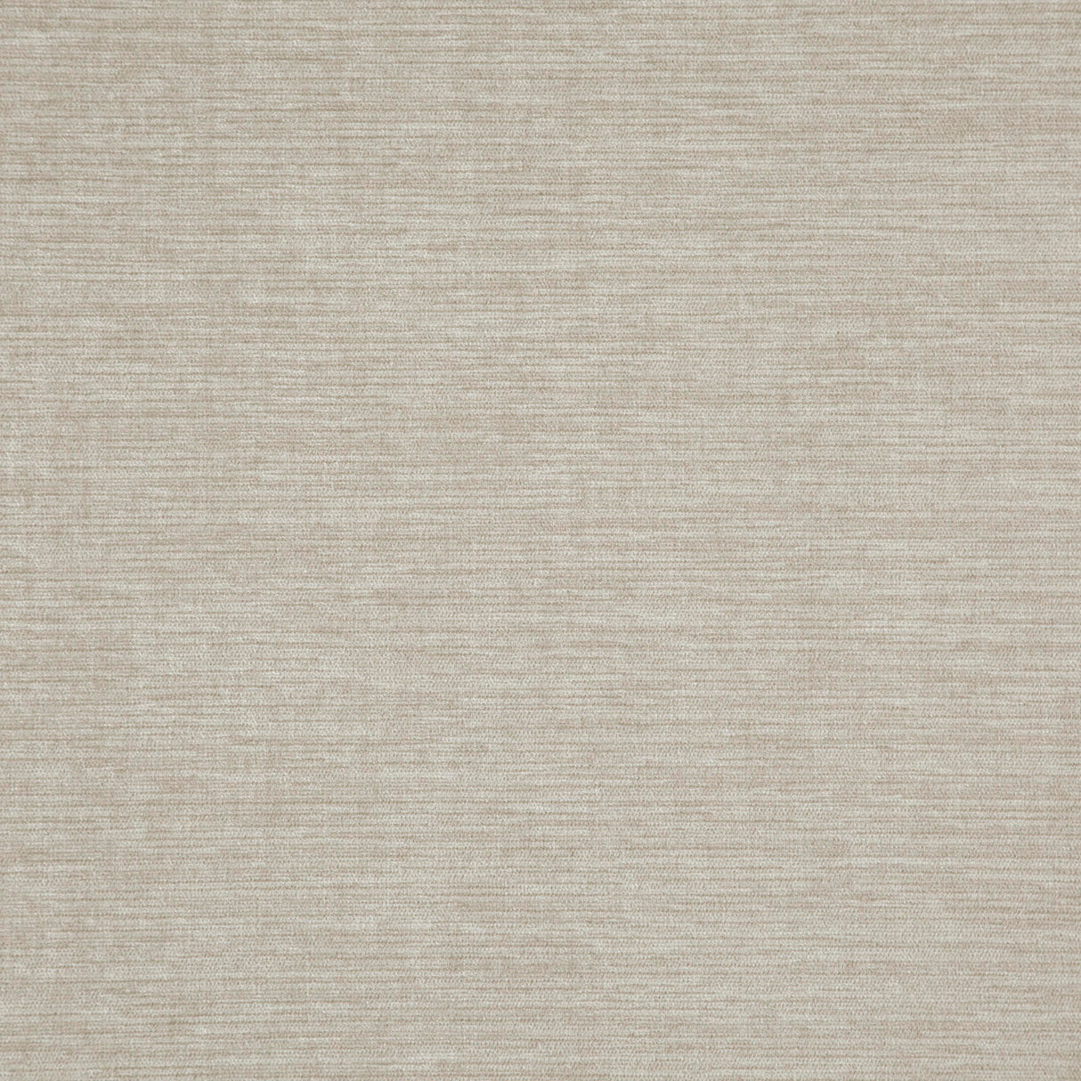 Eade’s # 10 PAPYRUS