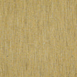 Eade’s # 407 APRICOT