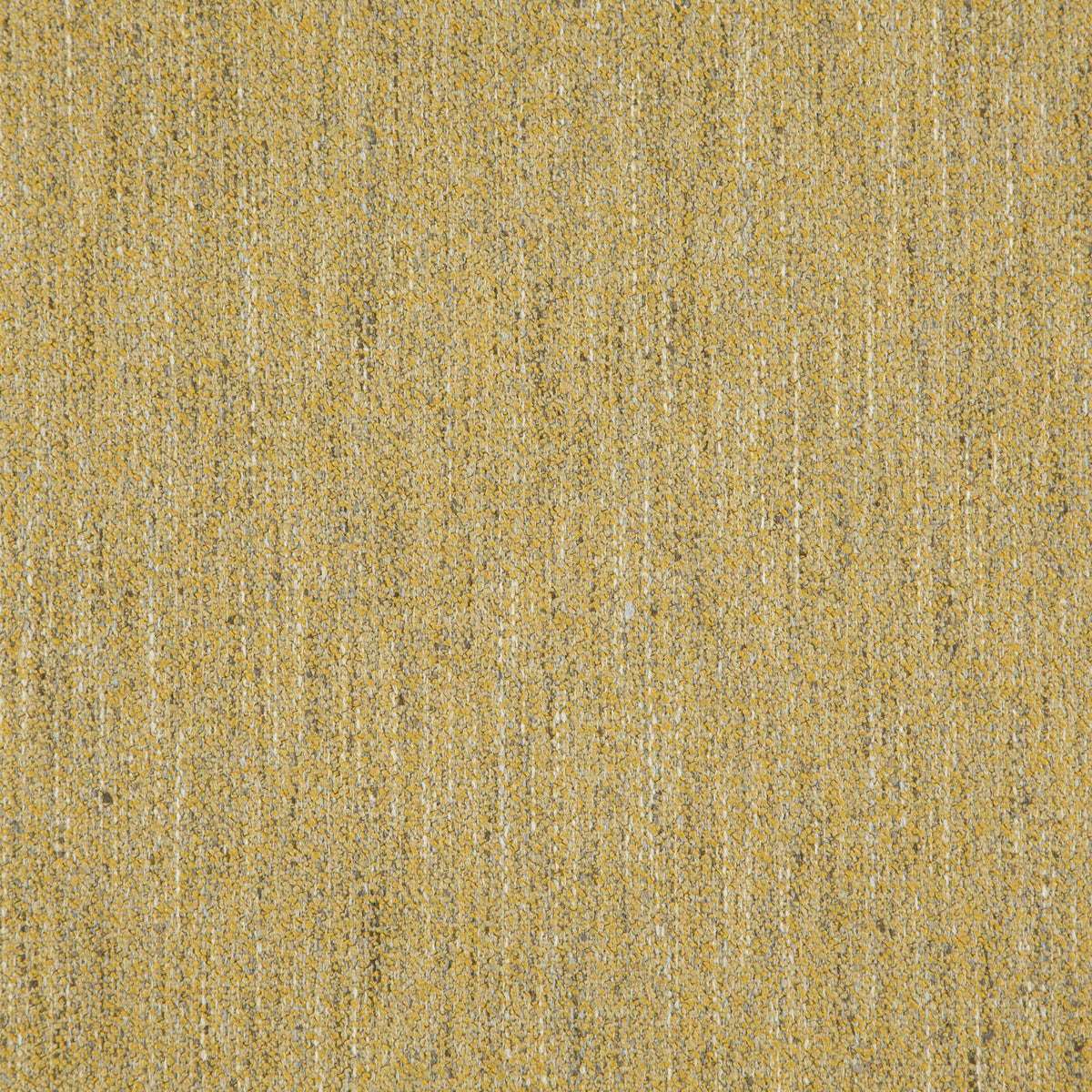 Eade’s # 407 APRICOT