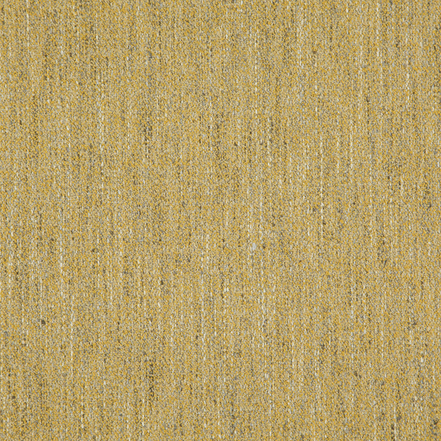 Eade’s # 407 APRICOT