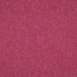 Eade’s # 521 TULIP
