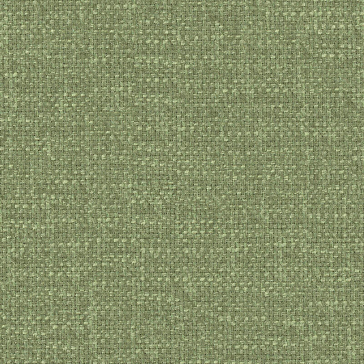 Eade’s # 534 BASIL