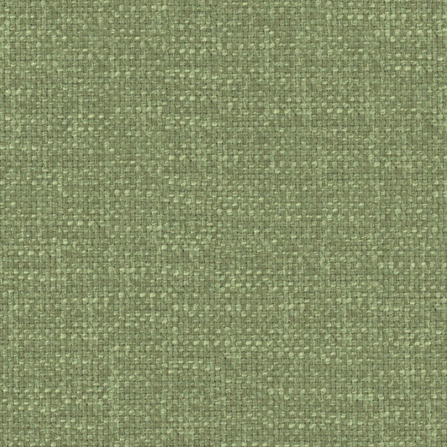 Eade’s # 534 BASIL