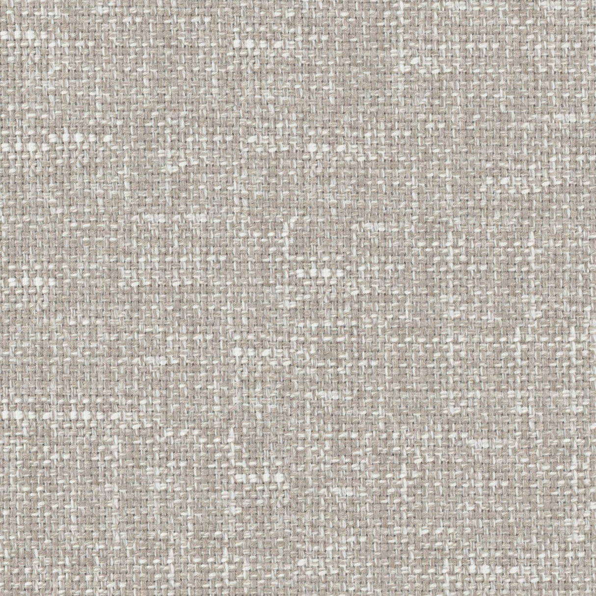 Eade’s # 736 CHINCHILLA