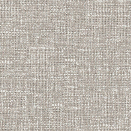 Eade’s # 736 CHINCHILLA