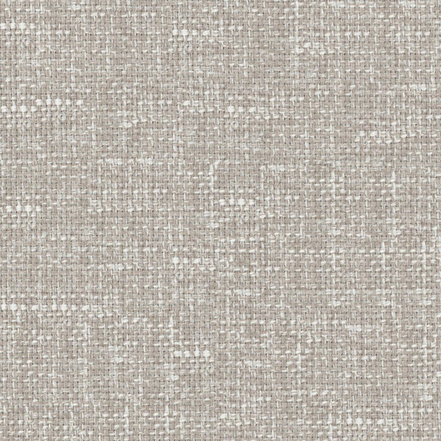 Eade’s # 736 CHINCHILLA