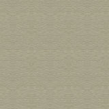 KRAVET COUTURE SMOOTHMOVE.11.0 SMOOTH MOVE STERLING Fabric - Eade's Wallpaper