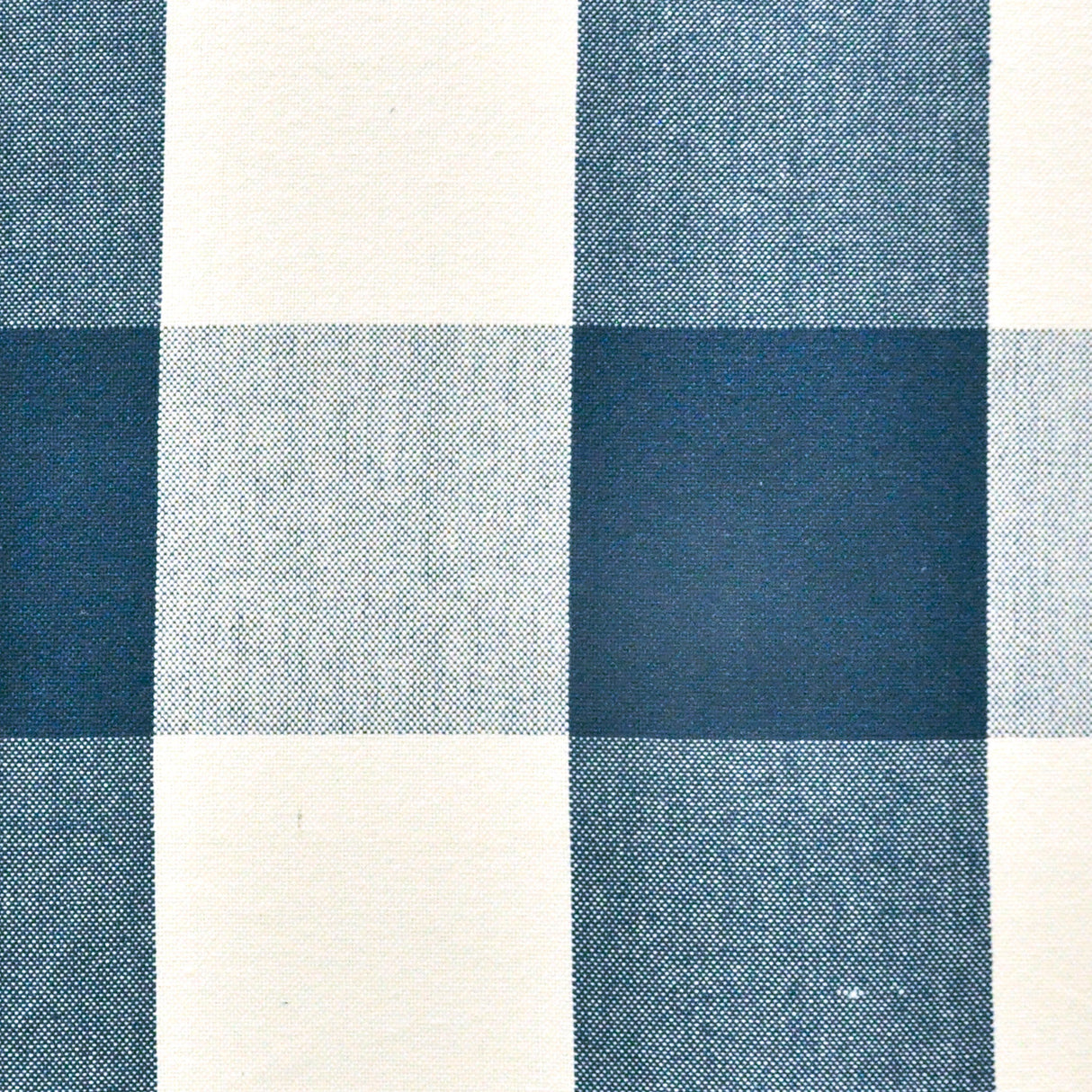Eade’s # 641 BLUEBERRY