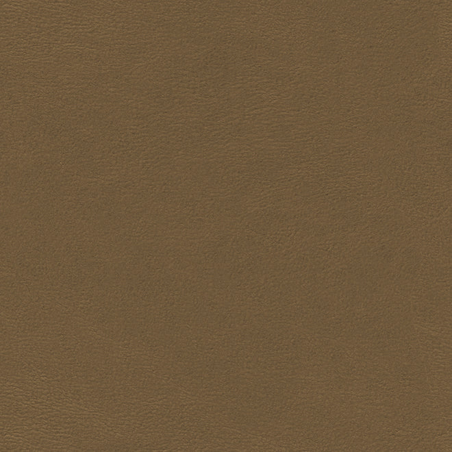 Eade’s # 788 EARTH