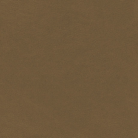 Eade’s # 788 EARTH