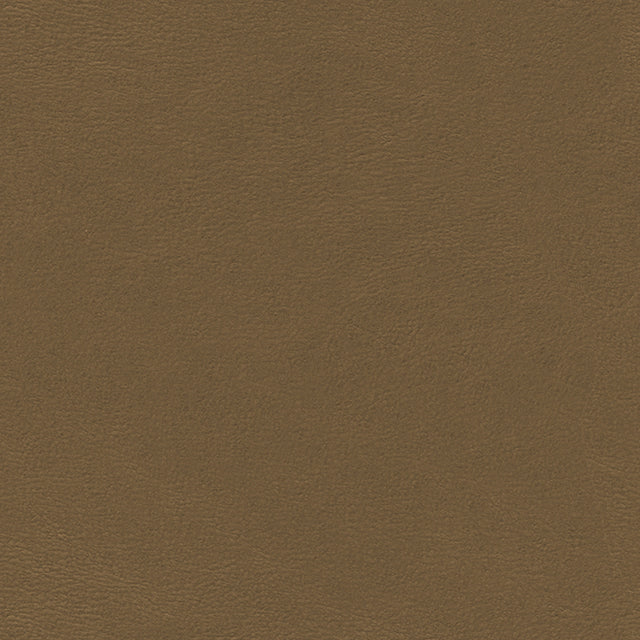 Eade’s # 788 EARTH