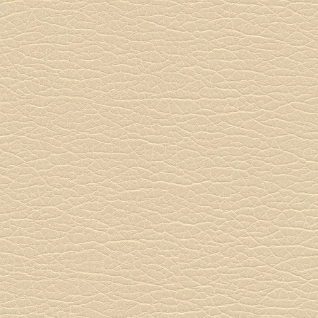 Eade’s # 1191 CASHEW