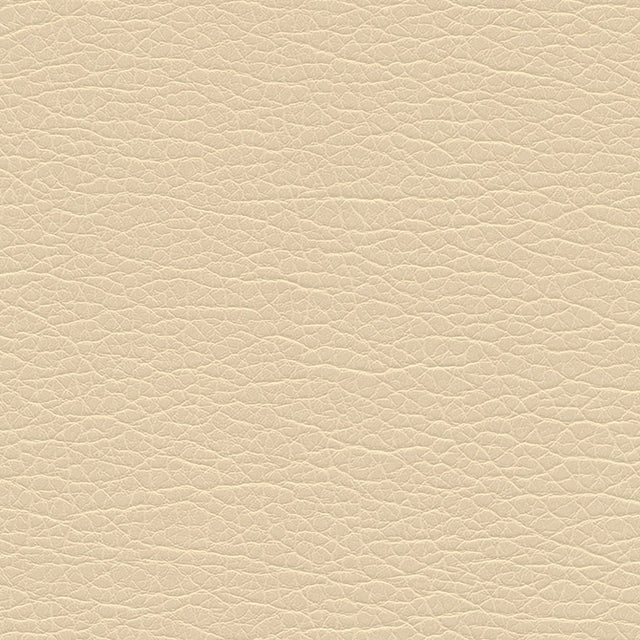 Eade’s # 1191 CASHEW