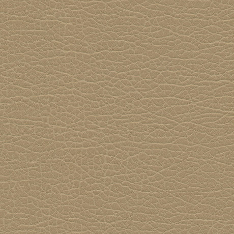 Eade’s # 1193 LATTE