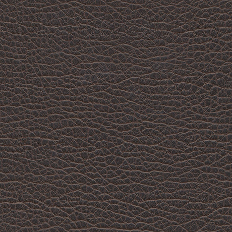 Eade’s # 1195 BLACK COFFEE