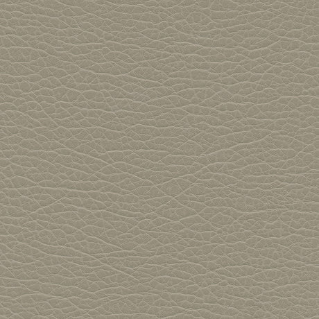 Eade’s # 1198 PAVED