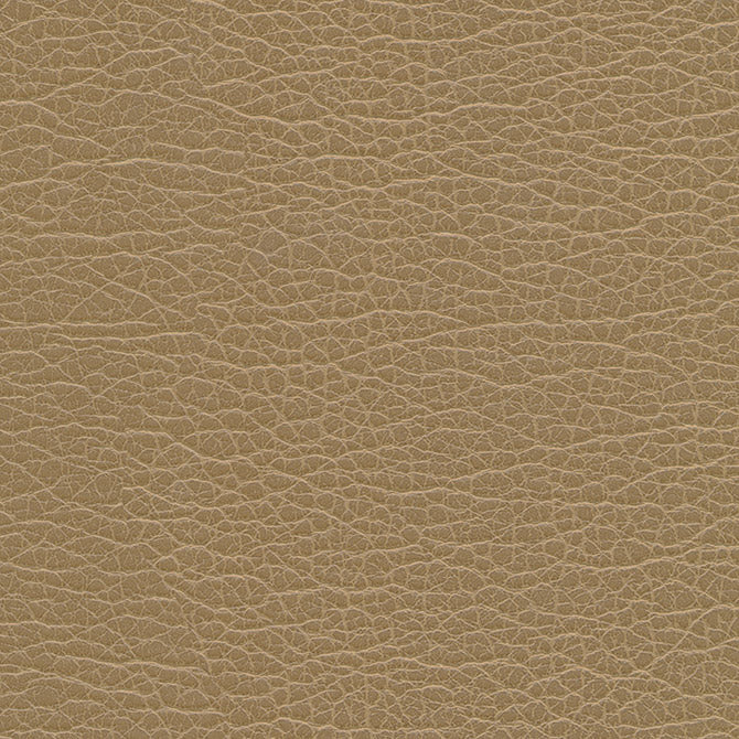 Eade’s # 1199 BIRCH