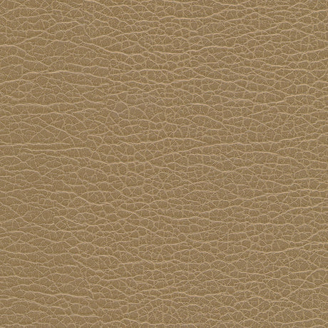 Eade’s # 1199 BIRCH