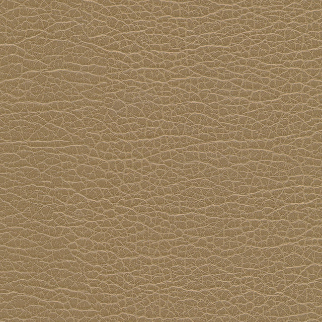 Eade’s # 1199 BIRCH