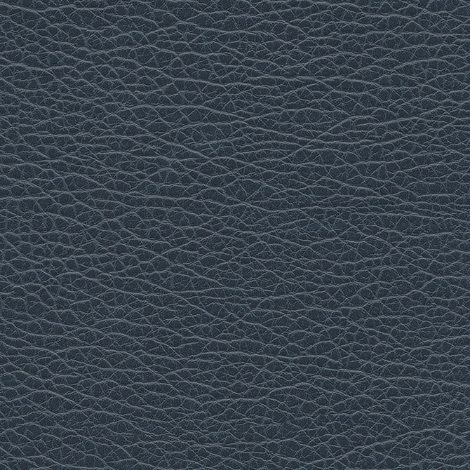 Eade’s # 1200 STORM