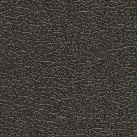 Eade’s # 1202 GRAPHITE