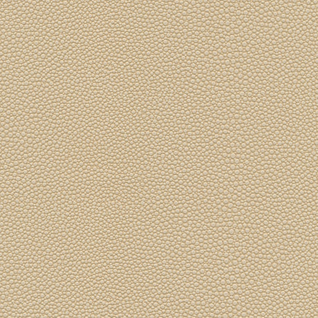 Eade’s # 1064 SAND DOLLAR