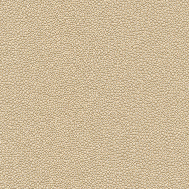 Eade’s # 1064 SAND DOLLAR