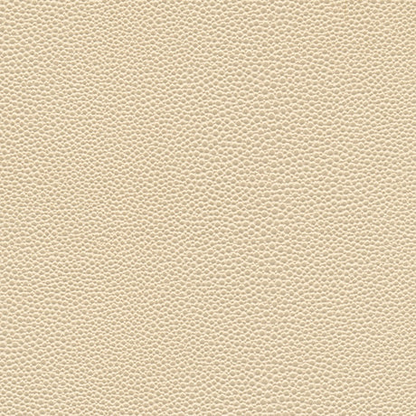 Eade’s # 1067 SEASHELL