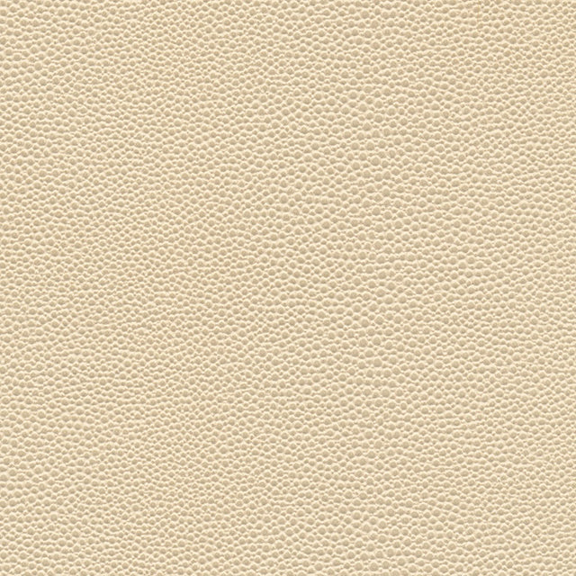 Eade’s # 1067 SEASHELL