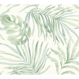 York SO2452 Paradise Palm Light Green Wallpaper