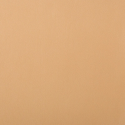 KRAVET DESIGN SOLARIS.16.0 KRAVET DESIGN SOLARIS-16 Fabric - Eade's Wallpaper