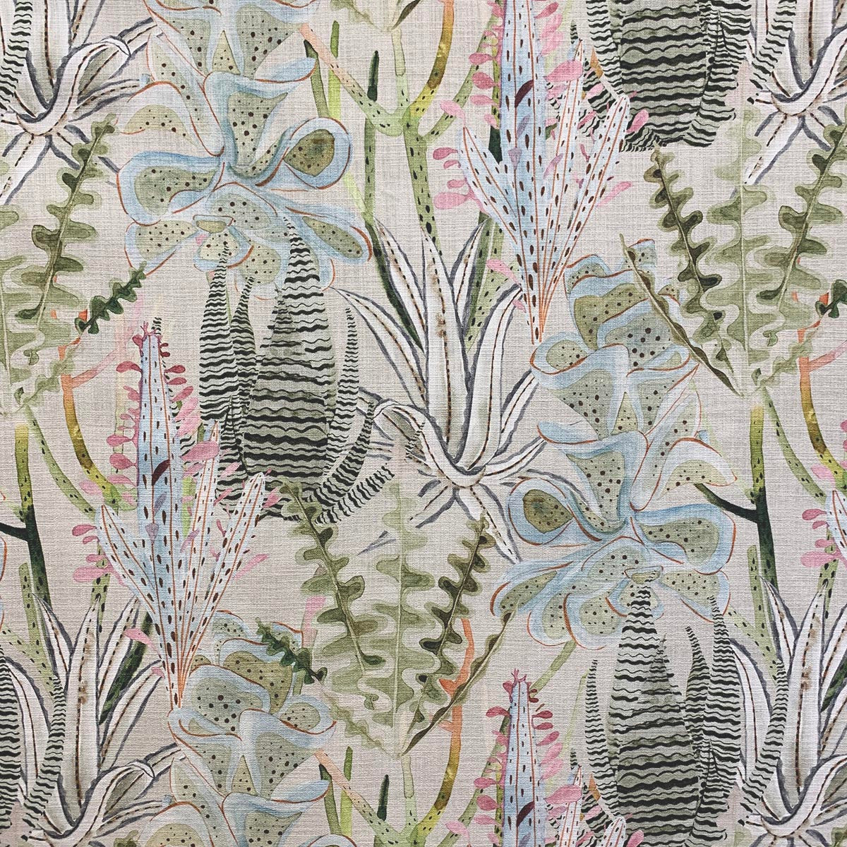 Eade’s SONORA ALOE ALOE