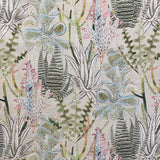 Eade’s SONORA ALOE ALOE