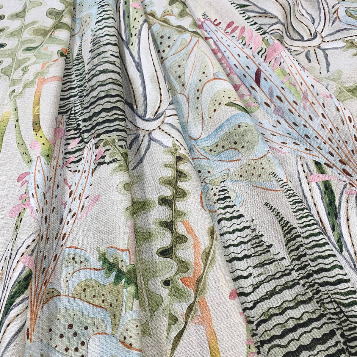 Eade’s SONORA ALOE ALOE