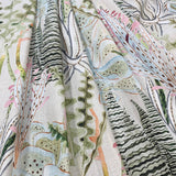 Eade’s SONORA ALOE ALOE